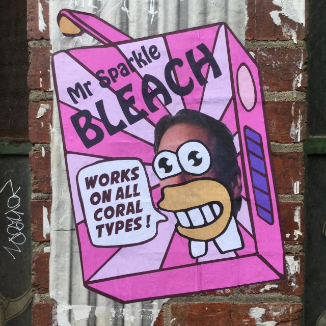 mr-sparkle-bleach_27584221001_o